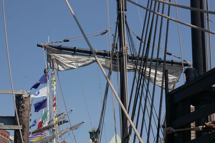 gal/tall ships 2008/IMGP6942.jpg